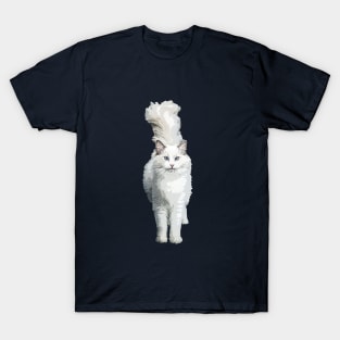 Ragdoll Cat Model T-Shirt